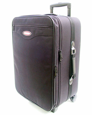 Eagnas Wheeled Carrying Case - ST-200C1